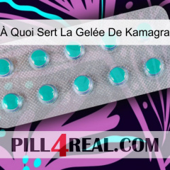 À Quoi Sert La Gelée De Kamagra 28